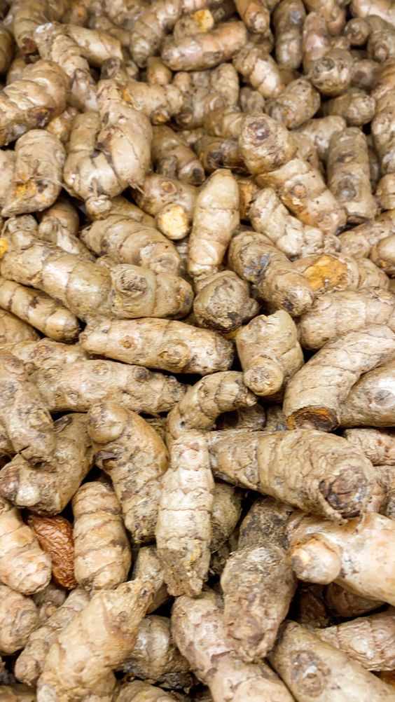 Agriculture in Ginger Production