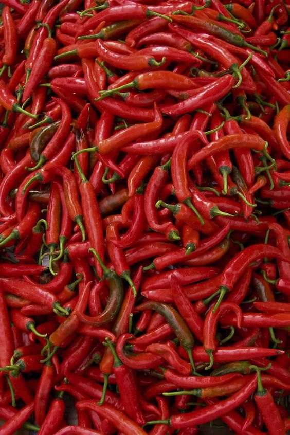 the best chili products
