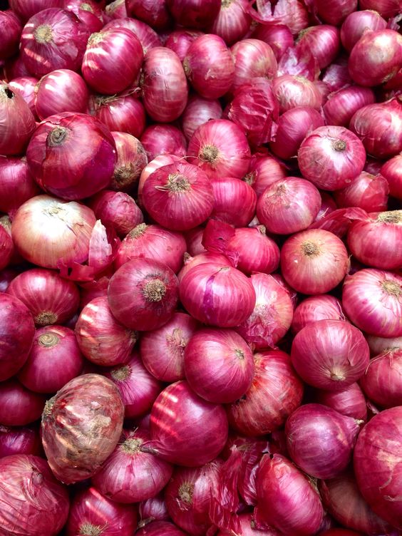 Onion Quality
