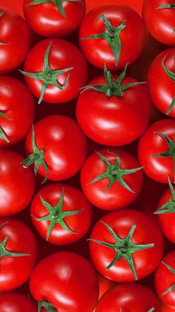 Harvest Tomato Product