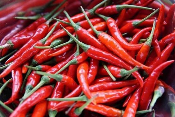Chilies Delivered Fresh
