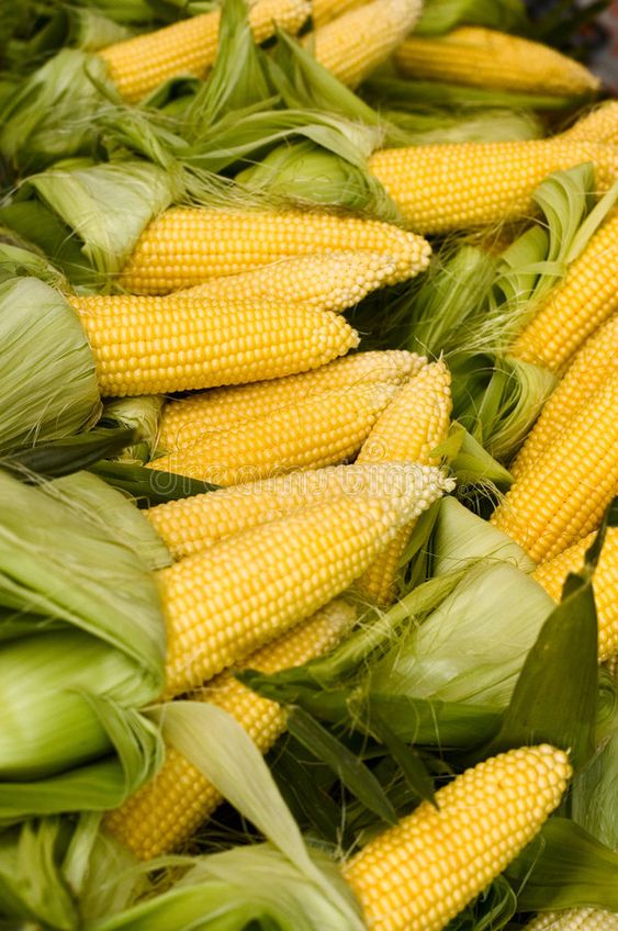 Optimizing Corn Quality