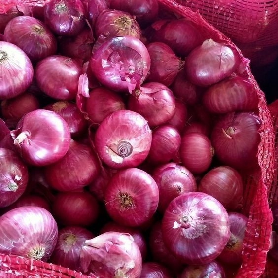 Sustainable Onion Farming