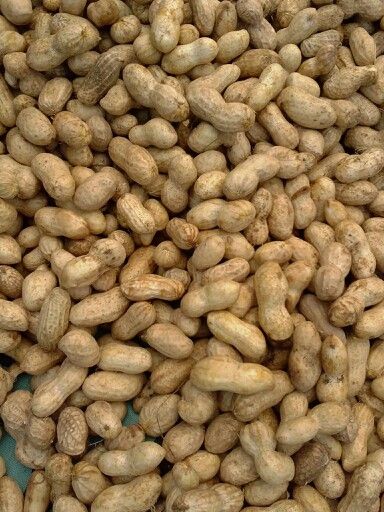 Peanut Plant Deficiency