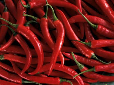 Chili Harvesting