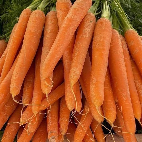 Types of Carrots