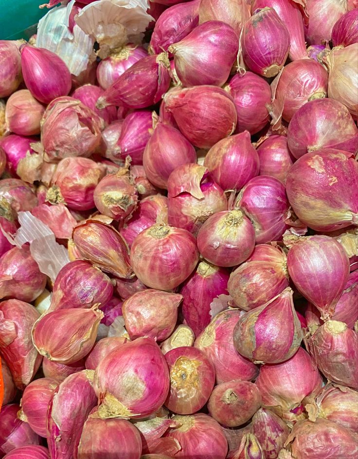 Disease in Shallot Plants