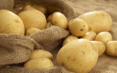 Potato Plant Diseases