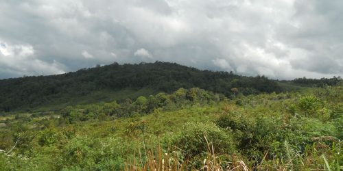 Foto FnB Agritech Pakpak Bharat