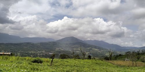 Foto FnB Agritech Pakpak Bharat