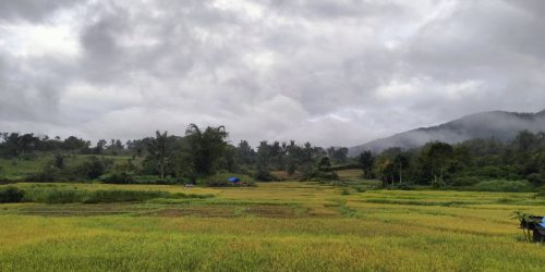 Foto FnB Agritech Pakpak Bharat